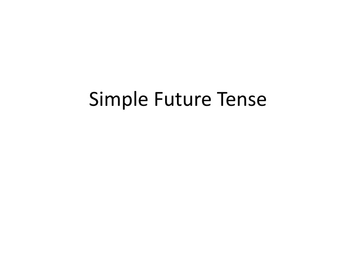simple future tense n.w