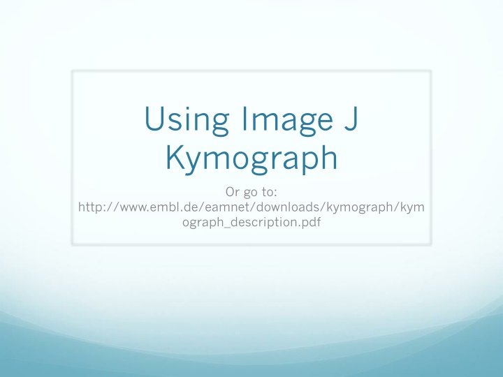 using image j kymograph n.w