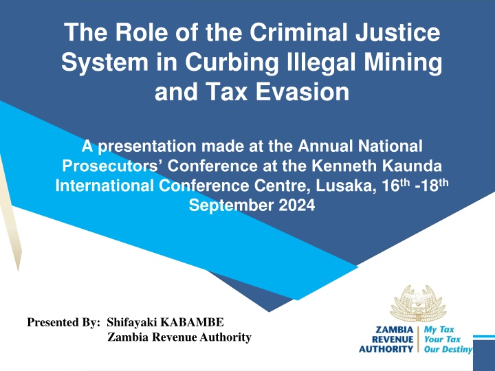 the role of the criminal justice system n.w