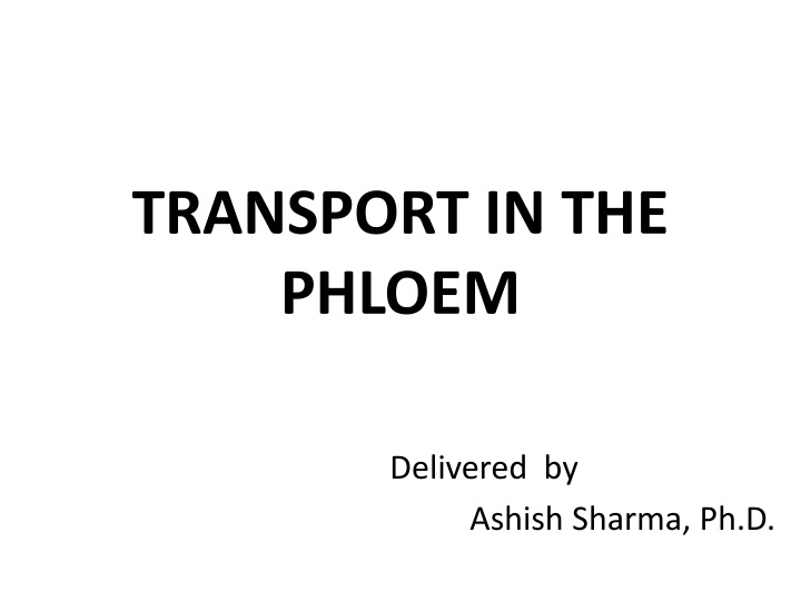 transport in the phloem n.w