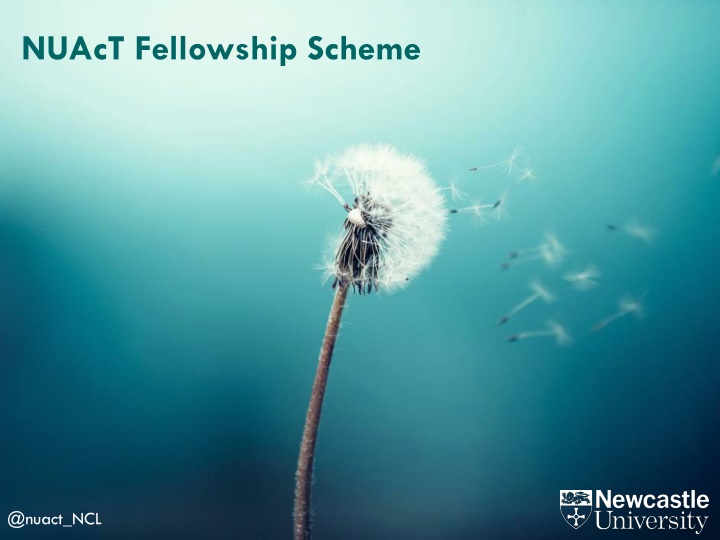 nuact fellowship scheme n.w