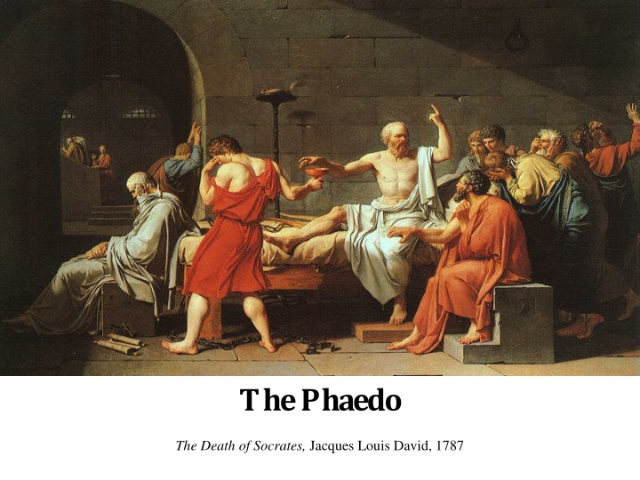 the phaedo n.w
