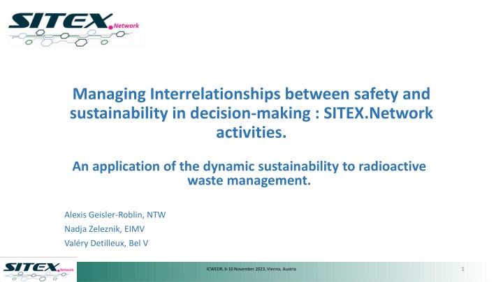 managing interrelationships between safety n.w
