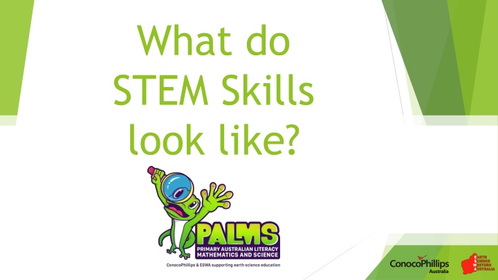 what do stem skills look like n.w