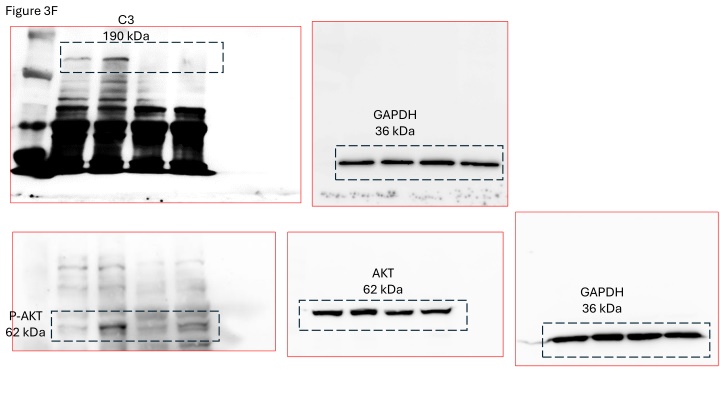 figure 3f n.w