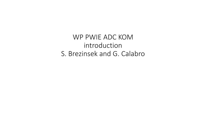 wp pwie adc kom introduction s brezinsek n.w