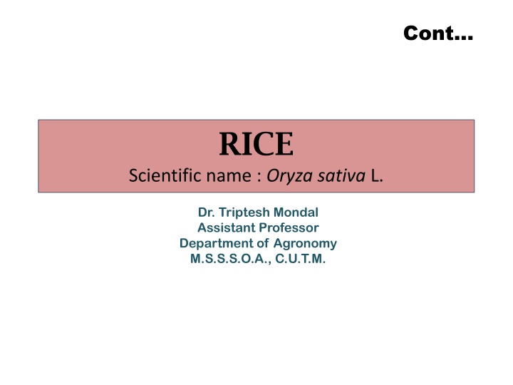 slide1 n.w