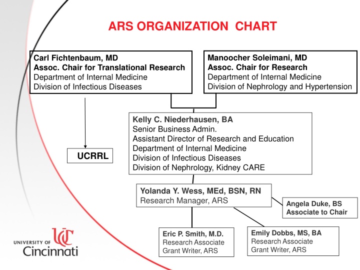 ars organization chart n.w