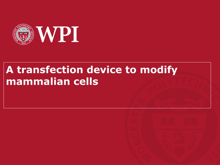 a transfection device to modify mammalian cells n.w