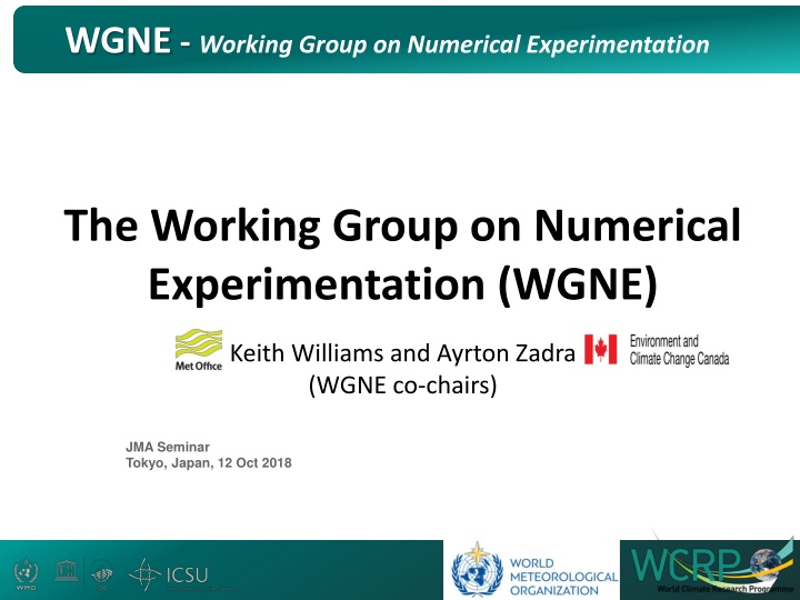 wgne working group on numerical experimentation n.w