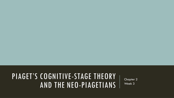 piaget s cognitive stage theory n.w