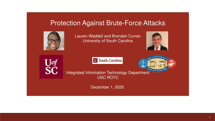 protection against brute force attacks n.w