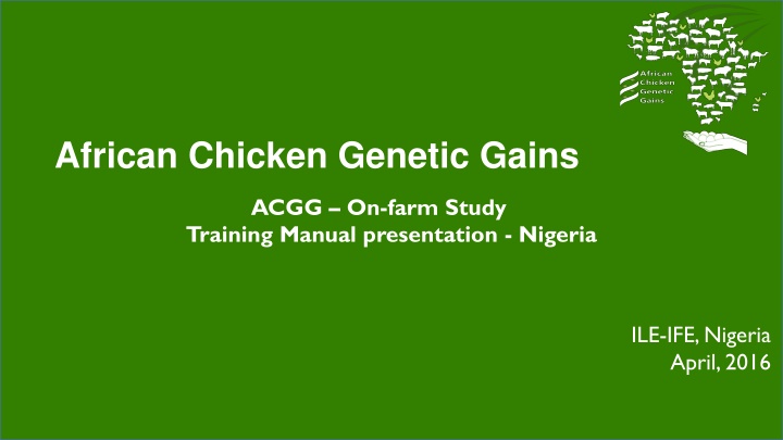 african chicken genetic gains n.w
