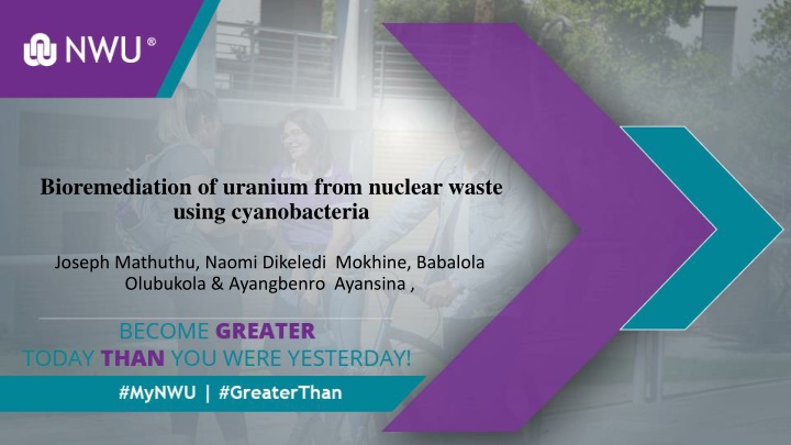 bioremediation of uranium from nuclear waste n.w
