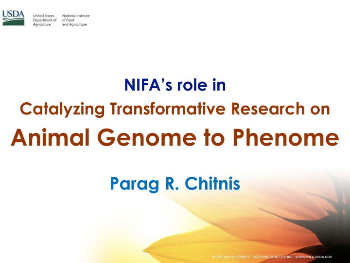 nifa s role in n.w