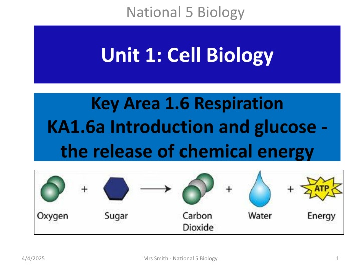 national 5 biology n.w