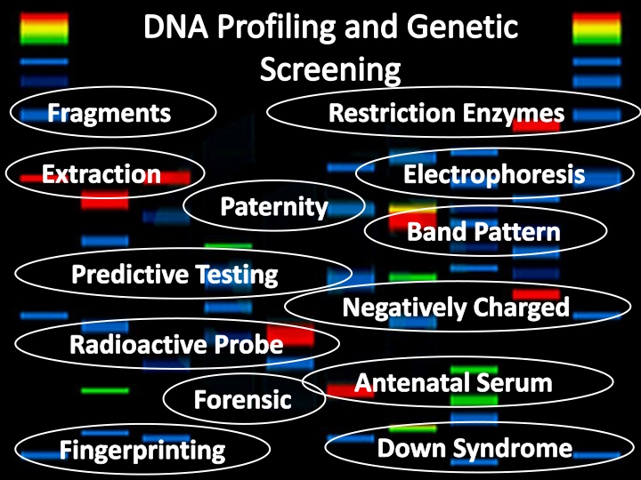 dna profiling and genetic screening fragments n.w