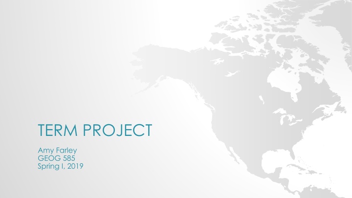 term project n.w