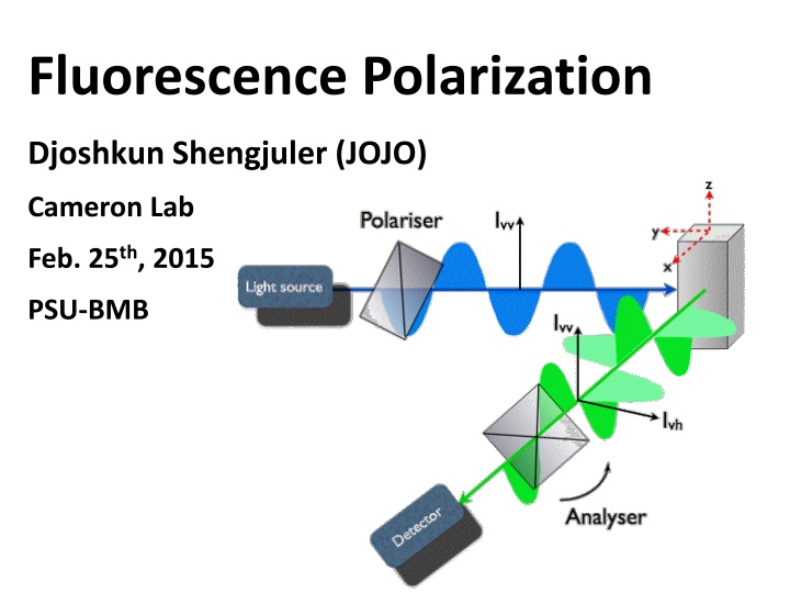 fluorescence polarization n.w