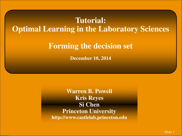 Optimal Learning in Laboratory Sciences: Forming the Decision Set
