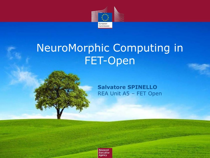 neuromorphic computing in fet open n.w