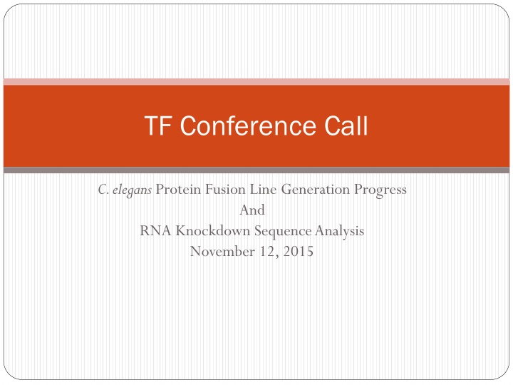tf conference call n.w