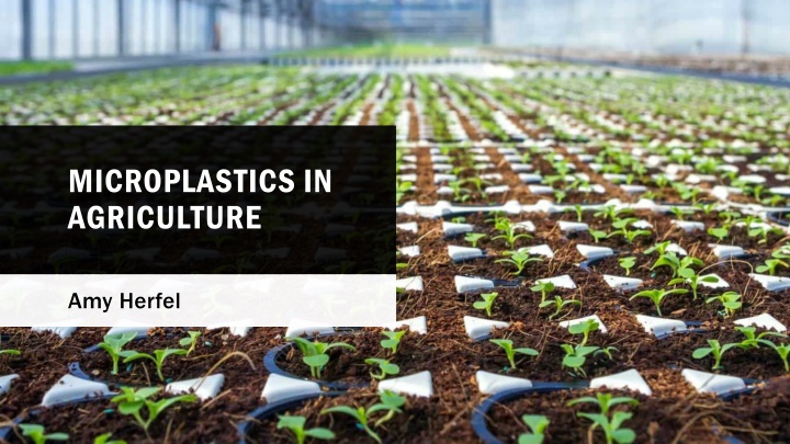microplastics in agriculture n.w