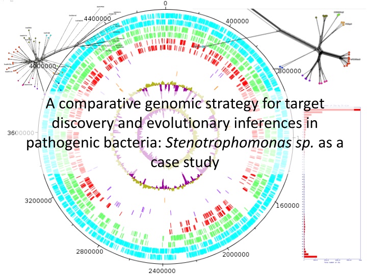 a comparative genomic strategy for target n.w