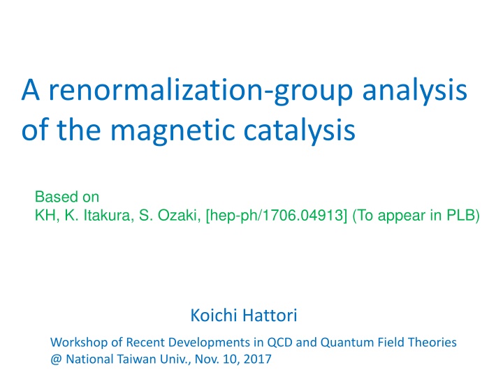 a renormalization group analysis of the magnetic n.w