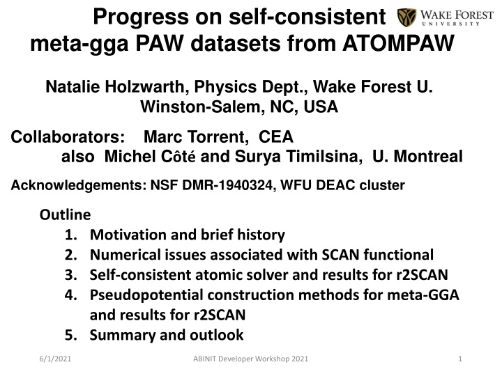 progress on self consistent meta gga paw datasets n.w