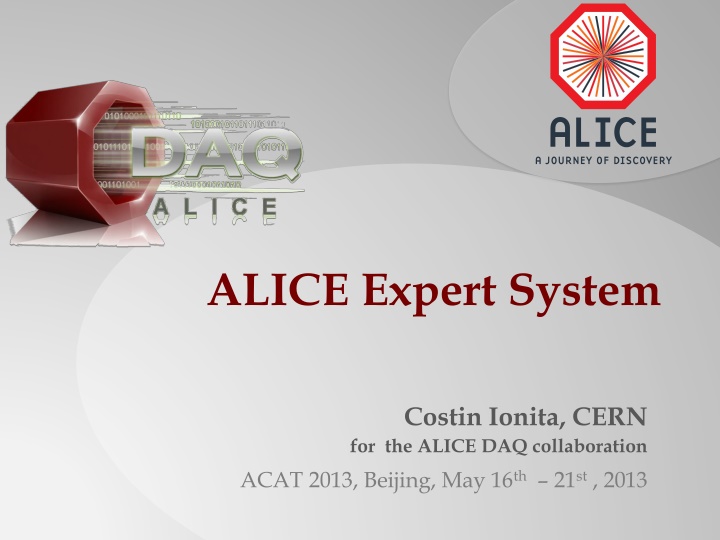 alice expert system n.w