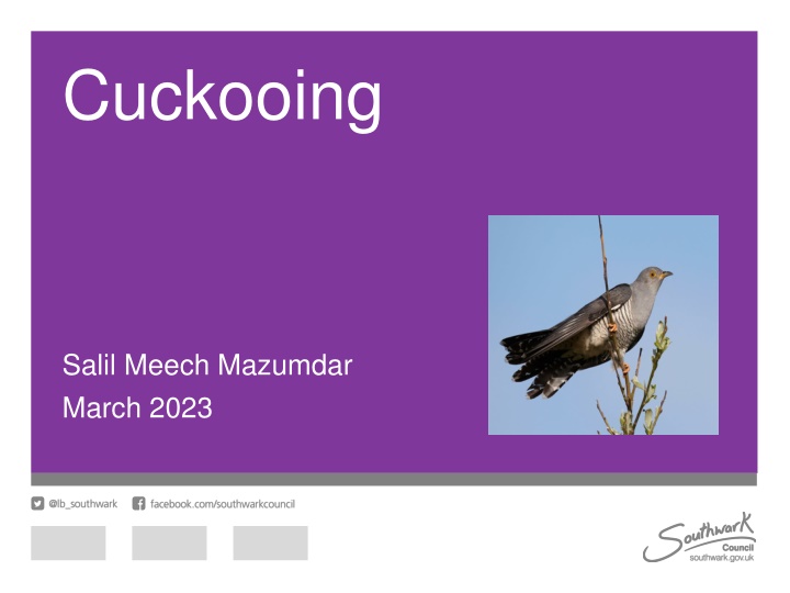 cuckooing n.w