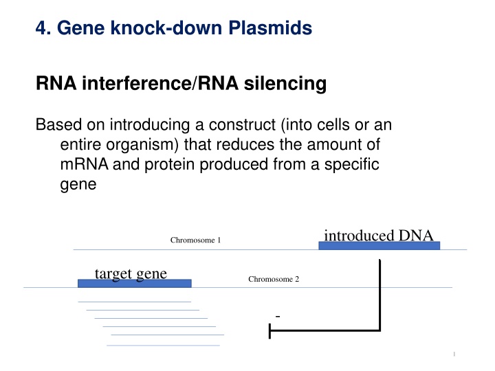 4 gene knock down plasmids n.w