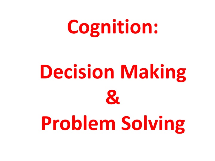 cognition n.w