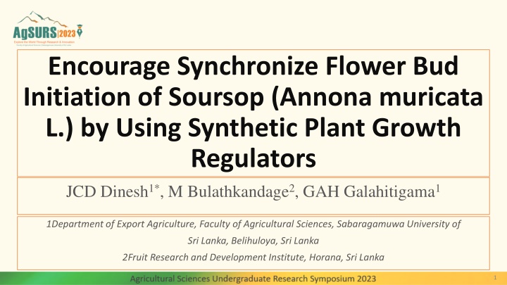encourage synchronize flower bud initiation n.w