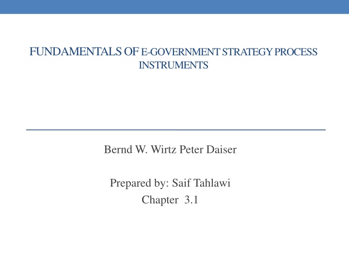 fundamentals of e government strategy process n.w