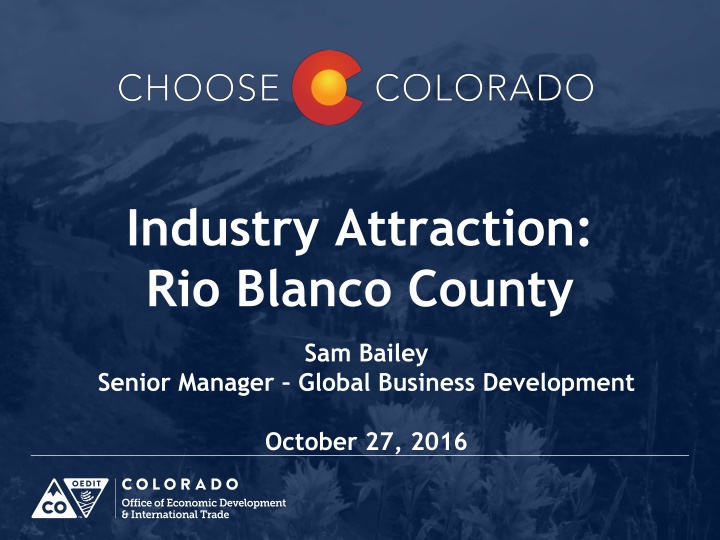 industry attraction rio blanco county n.w