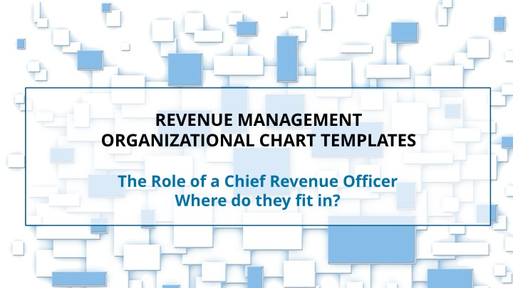 Chief Revenue Officer's Role in Organizational Revenue Management