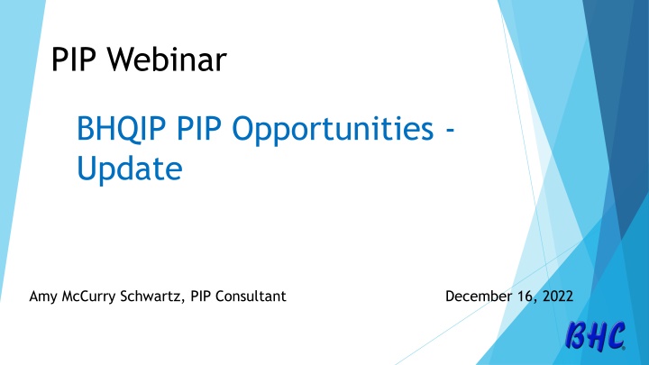pip webinar n.w