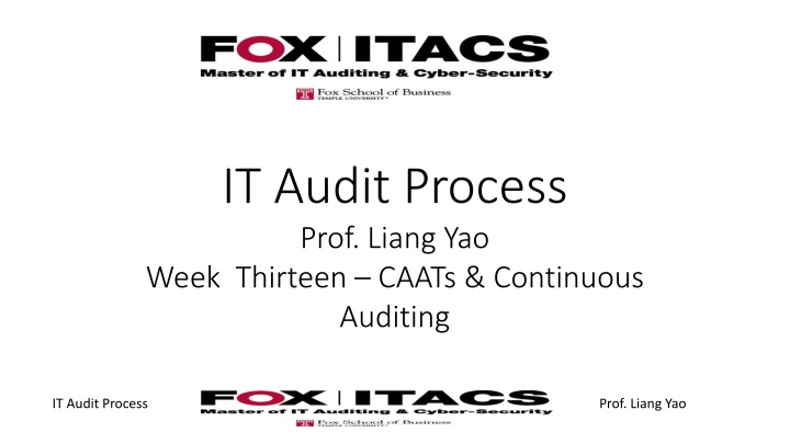 it audit process prof liang yao week thirteen n.w