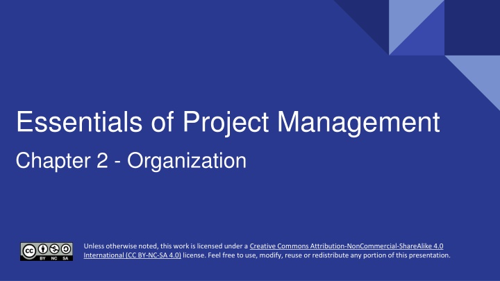 essentials of project management chapter n.w