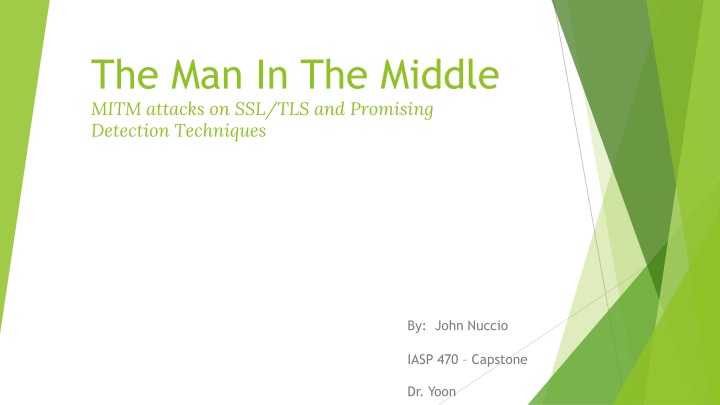 the man in the middle mitm attacks n.w