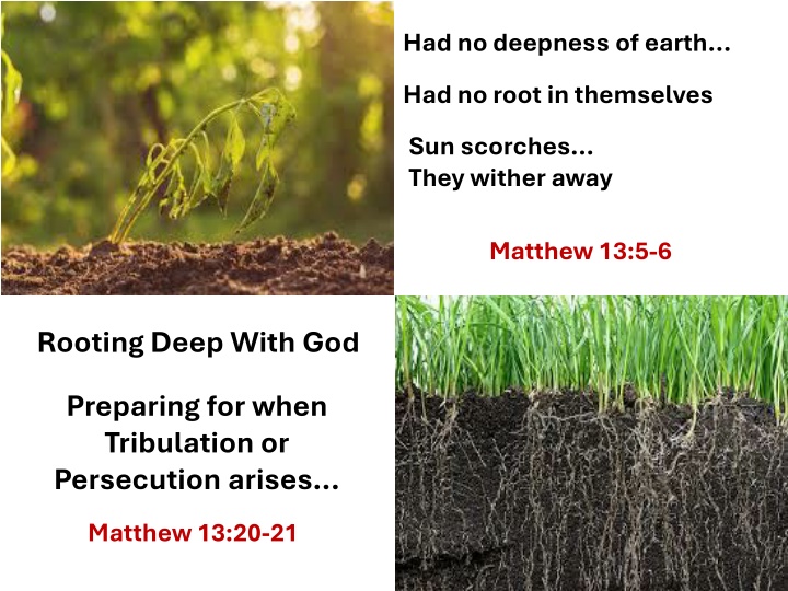 had no deepness of earth n.w