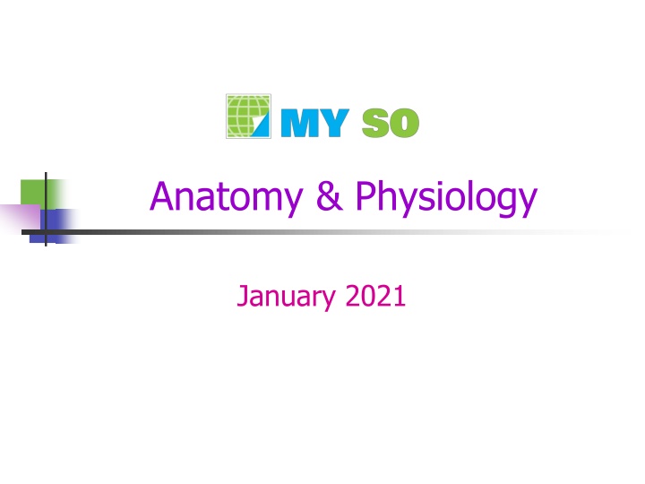 anatomy physiology n.w