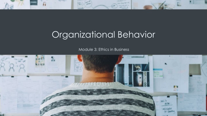 organizational behavior n.w
