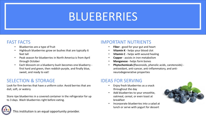 blueberries n.w