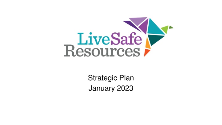strategic plan january 2023 n.w