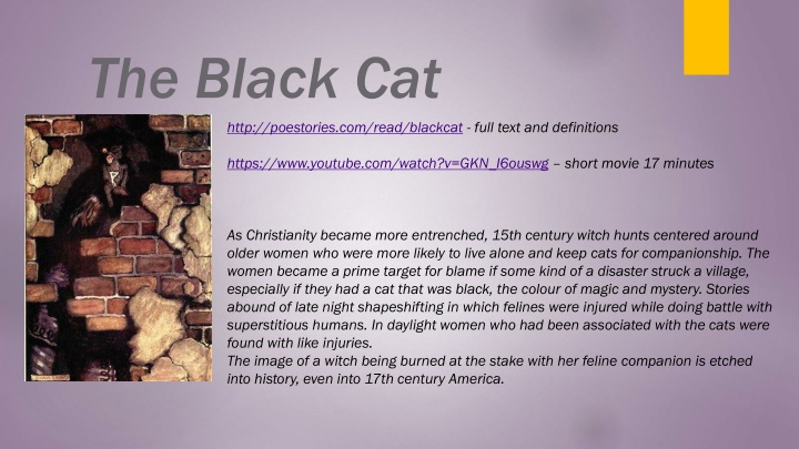 the black cat n.w