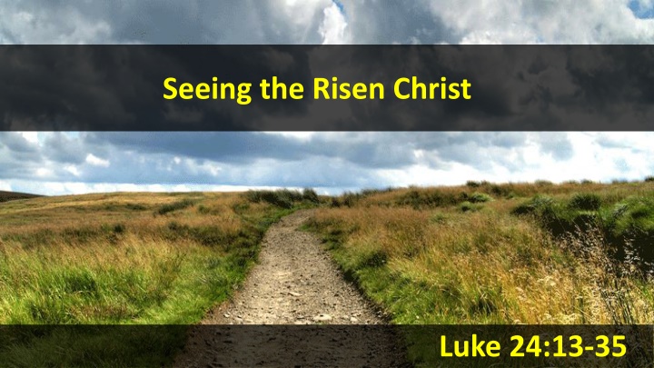 seeing the risen christ n.w