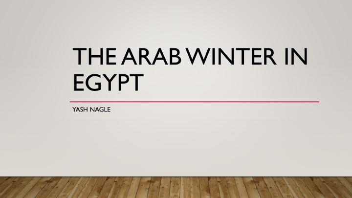 the arab winter in egypt n.w